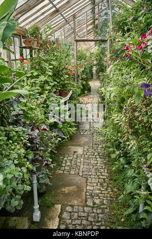 Percorso attraverso una vecchia serra vittoriana ricoperta con piante Foto Stock