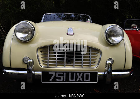 Trionfo TR3 Cabrio sul display all'Inghilterra occidentale raccolta trasporto Open Day a Nuneaton, Devon, il 6 ottobre 2013. Foto Stock