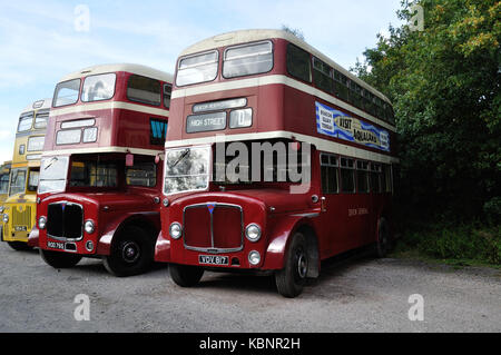 Due conserve di Devon AEC generale Regents, l'asta 765 e VDV 817, sono visti a ovest di Inghilterra raccolta trasporto Open Day il 6 ottobre 2013. Foto Stock