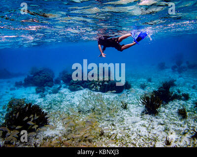 Immagine subacquea di boy nuotare con i pesci in Hol Chan riserva marina, Belize Foto Stock