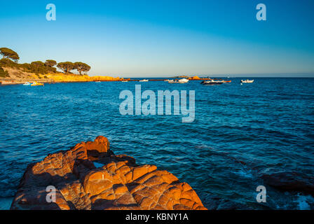 Plage de Palombaggia Corse du Sud Francia 2A Foto Stock