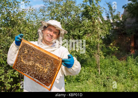 Apicoltore con il nido d'ape Foto Stock