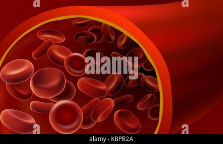 Rosso Sangue eritrociti cella fluente streaming arteria umana. 3d realistica medicina dettagliata closeup microscopiche di illustrazione vettoriale arte Illustrazione Vettoriale