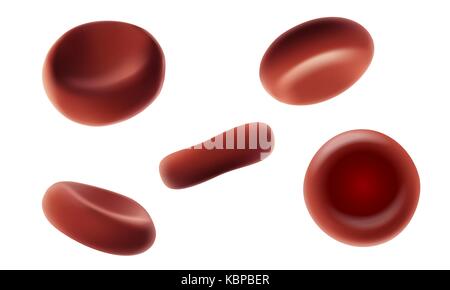Rosso di cellule del sangue umano gli eritrociti che scorre macro close up 3D realistici medical illustrazione vettoriale. isolato diversi angoli su sfondo bianco arte Illustrazione Vettoriale