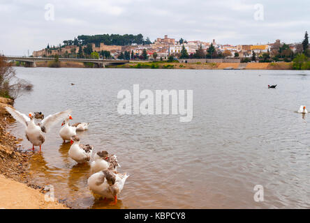 Alcazaba y Río Guadiana. Badajoz ciudad. Extremadura. España Foto Stock