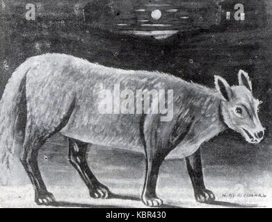 U Pirosmani. Jackal Foto Stock