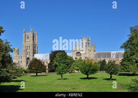 Cattedrale di Ely (visto dal parco), CAMBRIDGESHIRE, England, Regno Unito Foto Stock