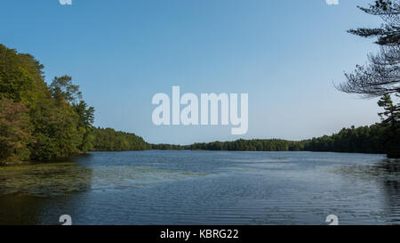 Vista di un grande lago calmo con alberi intorno ad esso Foto Stock