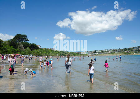 La gente a beach festival, Titahi Bay, Porirua, Wellington, Nuova Zelanda Foto Stock