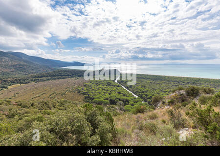 Vista panoramica sul parco della maremma. Torre di Castelmarino, alberese parco della maremma(Parco della Maremma, Grosseto, provincia di Grosseto, Toscana, Italia, europ Foto Stock