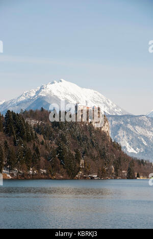 Il castello di Bled al di sopra del lago in inverno, slovenia Foto Stock