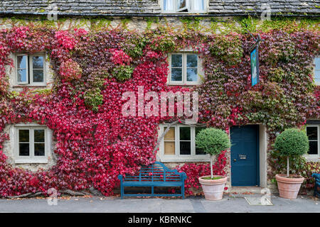 Parthenocissus tricuspidata. Boston Ivy / superriduttore giapponese che ricoprono le pareti del paese Swan Inn at Southrop. Cotswolds, Gloucestershire, Inghilterra Foto Stock