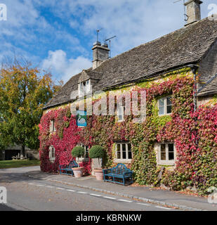 Parthenocissus tricuspidata. Boston Ivy / superriduttore giapponese che ricoprono le pareti del paese Swan Inn at Southrop. Cotswolds, Gloucestershire, Inghilterra Foto Stock