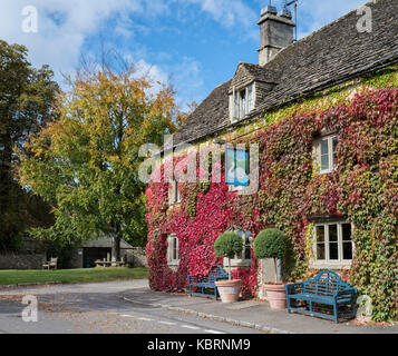 Parthenocissus tricuspidata. Boston Ivy / superriduttore giapponese che ricoprono le pareti del paese Swan Inn at Southrop. Cotswolds, Gloucestershire, Inghilterra Foto Stock