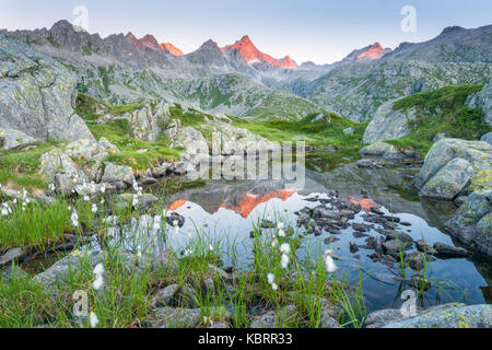 Lago alpino dalla Val Nambrone Europa, Italia, Trentino, Val Nambrone, Val Rendena, Sant Antonio di Mavignola e Madonna di Campiglio Foto Stock