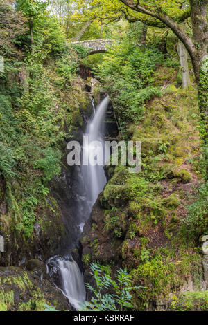 Le acque della cascata di Cumbria, aira force cascading dal ponte verso il basso la stretta gola nel Lake District inglese national park, Regno Unito Foto Stock