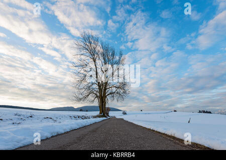 Praiei, Val di non provincia di Trento, Regione trentino alto adige, italia Foto Stock