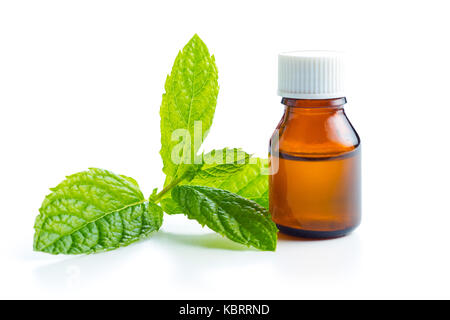 Bottiglia di essenziale di olio di menta isolati su sfondo bianco. Foto Stock