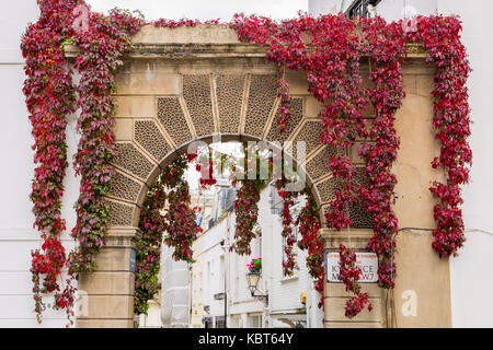 Londra, Regno Unito. 1 Ott 2017. Regno Unito Meteo: primo giorno di ottobre porta l'intenso autunno colori rosso di edera giapponese (o Boston ivy) a ovest di Londra. Credito: Guy Corbishley/Alamy Live News Foto Stock