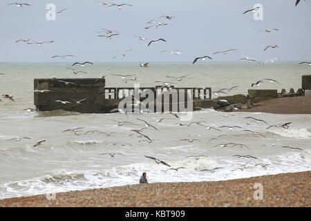 Hastings, East Sussex, Regno Unito. 1 ottobre 2017. Pescatore locale è visto trascinare gli avanzi per i gabbiani per l'alimentazione. La pioggia e il vento è la previsione per il resto della giornata in questa località balneare. Alti di 17c previsto. Credito foto Paolo Lawrenson /Alamy Live News Foto Stock