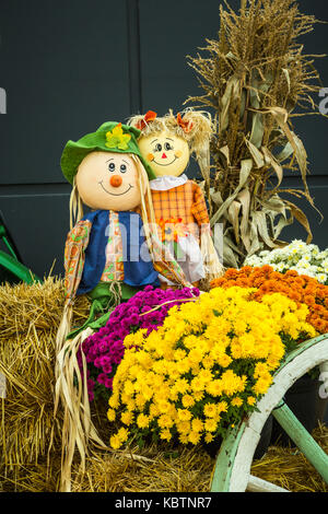 La raccolta autunnale visualizzare presso la locale Canadian Tire Store in Winkler, Manitoba, Canada. Foto Stock