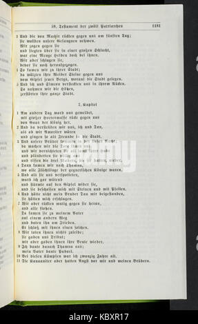 Un estratto di *Riessler's Altjüdisches Schrifttum ausserhalb der Bibel*, datato 1181. Il testo esplora la letteratura ebraica al di fuori della Bibbia, offrendo una preziosa comprensione delle tradizioni culturali e letterarie ebraiche. Foto Stock