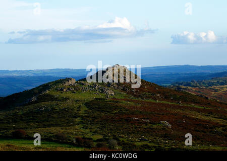 Meltor dartmoor Foto Stock