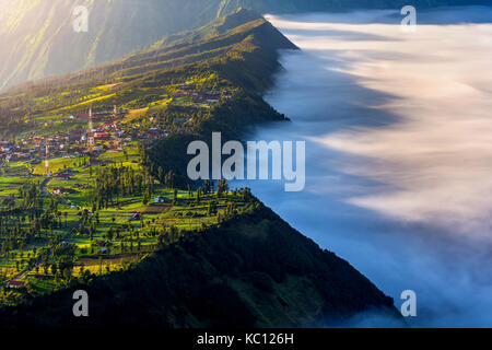 Cemoro lawang villaggio alla mattina in bromo tengger semeru national park, Java Orientale, Indonesia. Foto Stock