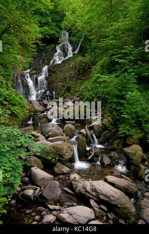 Cascata Torc, Parco Nazionale di Killarney, nella contea di Kerry, Irlanda Foto Stock