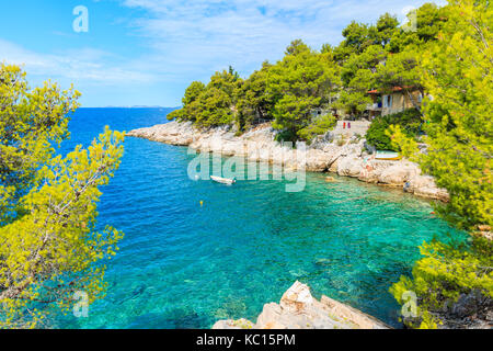 Mare baia con alberi di pino sulla costa vicino a città di Primosten, Dalmazia, Croazia Foto Stock