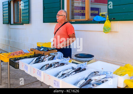 Porta di Primosten, Croazia - Settembre 6, 2017: pescatore vendita di pesce fresco nella porta di Primosten, Dalmazia, Croazia. Foto Stock