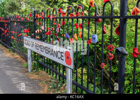 Ww1. maglia blu e rosso papavero che costeggiano la strada del ricordo Folkestone nel Kent REGNO UNITO Foto Stock
