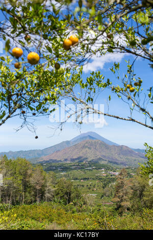 Giornata di sole con vista sulla caldera del vulcano Batur a Bali, Indonesia. Foto Stock