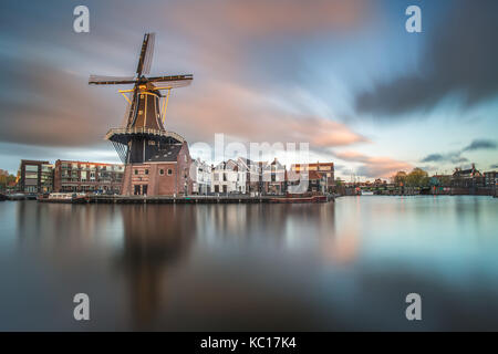 Il mulino a vento di Haarlem, Paesi Bassi Foto Stock