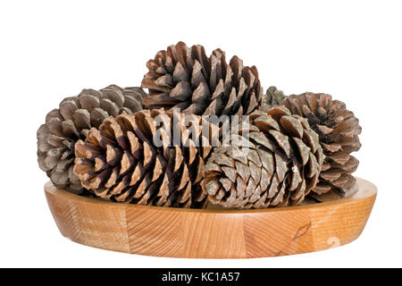 Pigne, festivo invernale o decorazioni stagionali. Foto Stock