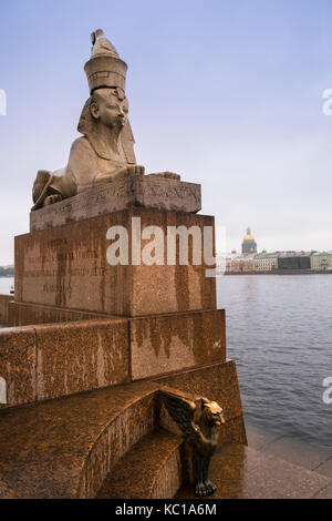 Una sfinge egizia dal fiume Neva, Università Embankment, San Pietroburgo, Russia, con cupola dorata di San Isaacs Cathedral in background. Foto Stock