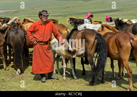 Giovani shephard porta il puledro di un mare per il lattante e Mongolia Foto Stock