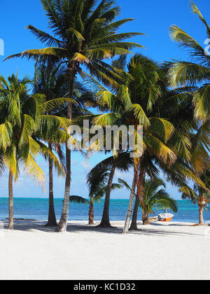 Spiaggia - Caye Caulker, Belize Foto Stock