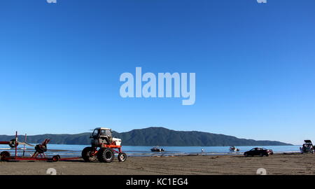 Paesaggio, kapiti island, Nuova Zelanda beach scene Foto Stock