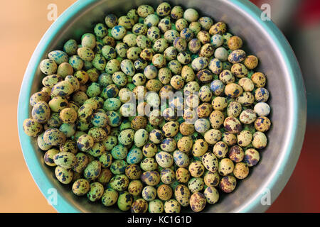Uova di quaglia in una ciotola di metallo esposte per la vendita noto come un popolare street food business in Cambogia. Foto Stock