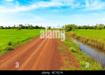 Strada sterrata e verdi campi di riso sotto il cielo blu effettuare un unico e bellissimo paesaggio. Foto Stock