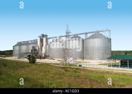 Fabbrica di verde e blu cielo Foto Stock