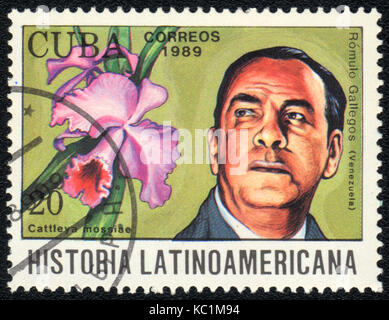 Un francobollo stampato in cuba mostra un cattleya mossiae e romulo gallegos, serie "historia latinoamericana', circa 1989 Foto Stock