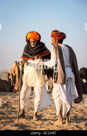 Due uomini con i cammelli a Pushkar Mela camel fair, Pushkar, Rajasthan, India Foto Stock