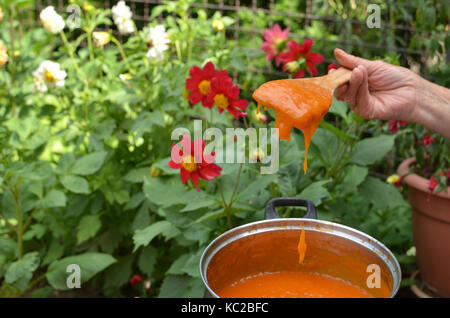 Ancora caldo appena fatto marmellata di albicocche in fron di fiori da giardino Foto Stock