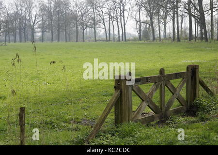 Vista in un verde prato con una bella recinzione di legno Foto Stock