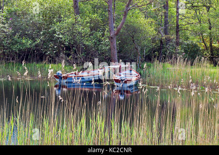 Barche a remi in un lago Foto Stock