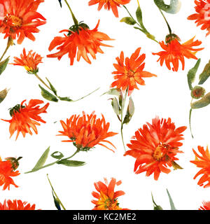 Acquerello romantico nasturtium pattern di fiori Foto Stock