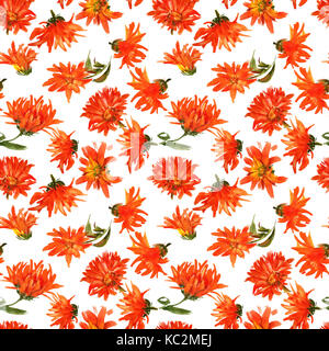 Acquerello romantico nasturtium pattern di fiori Foto Stock