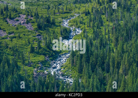 Glacier Creek lungo l'Hoh River Trail fino al Blue Glacier, all'Olympic National Park, allo stato di Washington, Stati Uniti Foto Stock